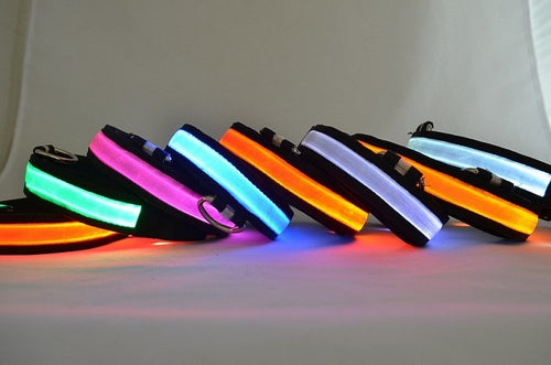 Svítící LED obojek pro psy