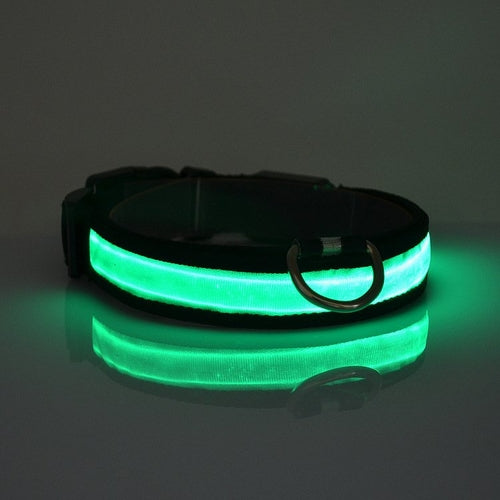 Svítící LED obojek pro psy