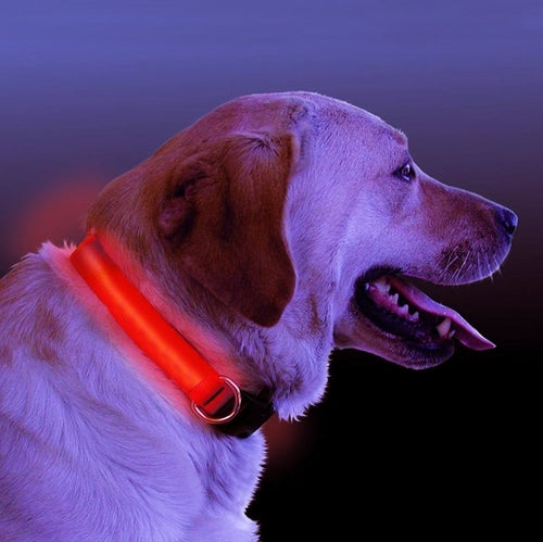 Svítící LED obojek pro psy